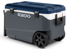 Fingertip Amputation Prompts Recall of More Than 1M Igloo Coolers