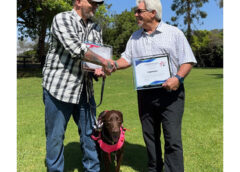 The Bright Side: Logomark-Sponsored Service Dog Graduates Training Through Shelter to Soldier