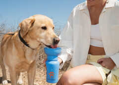 SnugZ Unleashes New Partnership With Pet Accessory Brand Springland Pets