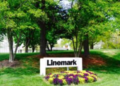 Linemark Transforms Complexity Into Efficiency