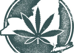 New Legislation Could Affect Cannabis Packaging & Advertising in New York