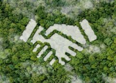 The 2026 Guide To Winning Sustainable Print Contracts