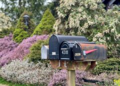5 Quick Insights on Lob’s Direct Mail Report