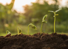 5 Key Developments in Wide-Format Printing Technology