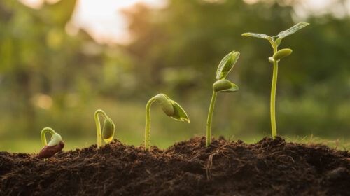 5 Key Developments in Wide-Format Printing Technology