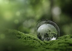 Practicing Sustainability in the Wide-Format Segment