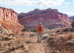 L2 Brands Acquires National Park-Inspired Brand Wild Tribute