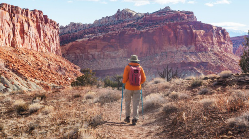 L2 Brands Acquires National Park-Inspired Brand Wild Tribute