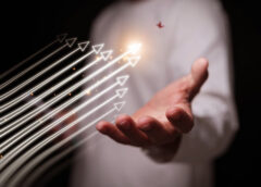 Why High-Velocity Decoration Is a Survival Strategy