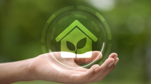 Infographic: Sustainability Trends in Canadian Promo
