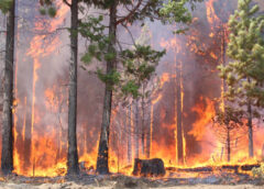 Spokane Distributor Displaced by Wildfire