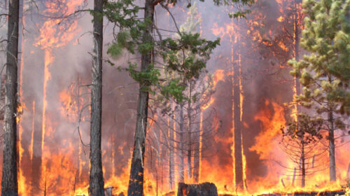 Spokane Distributor Displaced by Wildfire